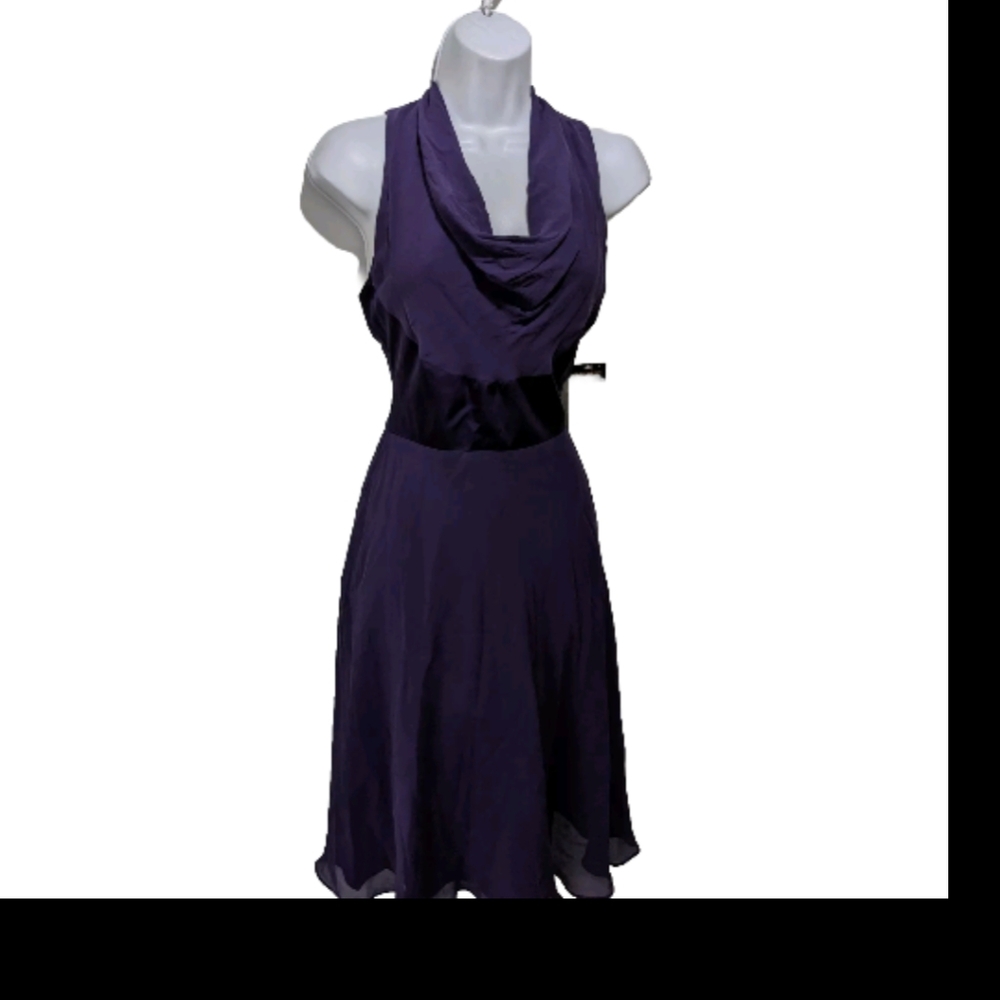 NWT Donna Ricco 100% Silk Fit Flare Dress 4 Sleeveless Fairy Whimsical - Picture 3 of 9
